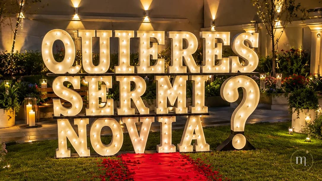 ¿QUIERES SER MI NOVIA? montado en un jardín de noche, sobre un camino de pétalos